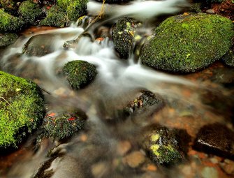 Фотография для начинающих