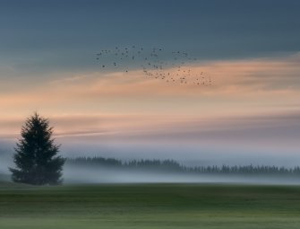 Курс: Фотография II-ая ступень